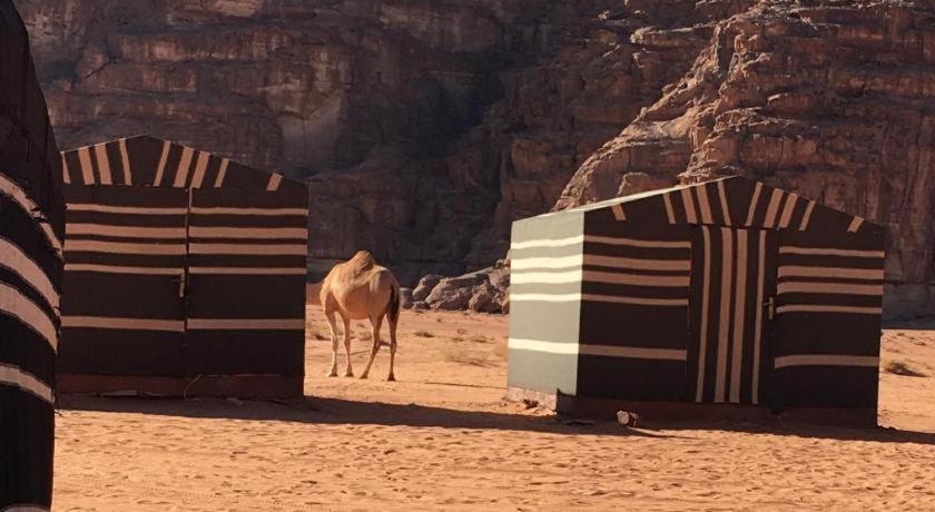 Wadi Rum Desert Heart Camp Екстер'єр фото